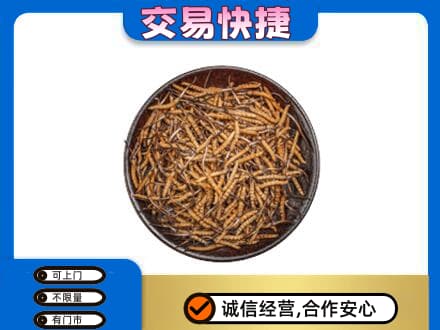 滨州回收散虫草